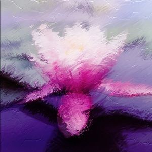 Meet your Posher, Lisamarie h.